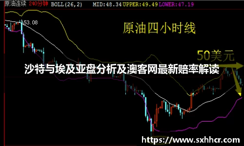 沙特与埃及亚盘分析及澳客网最新赔率解读